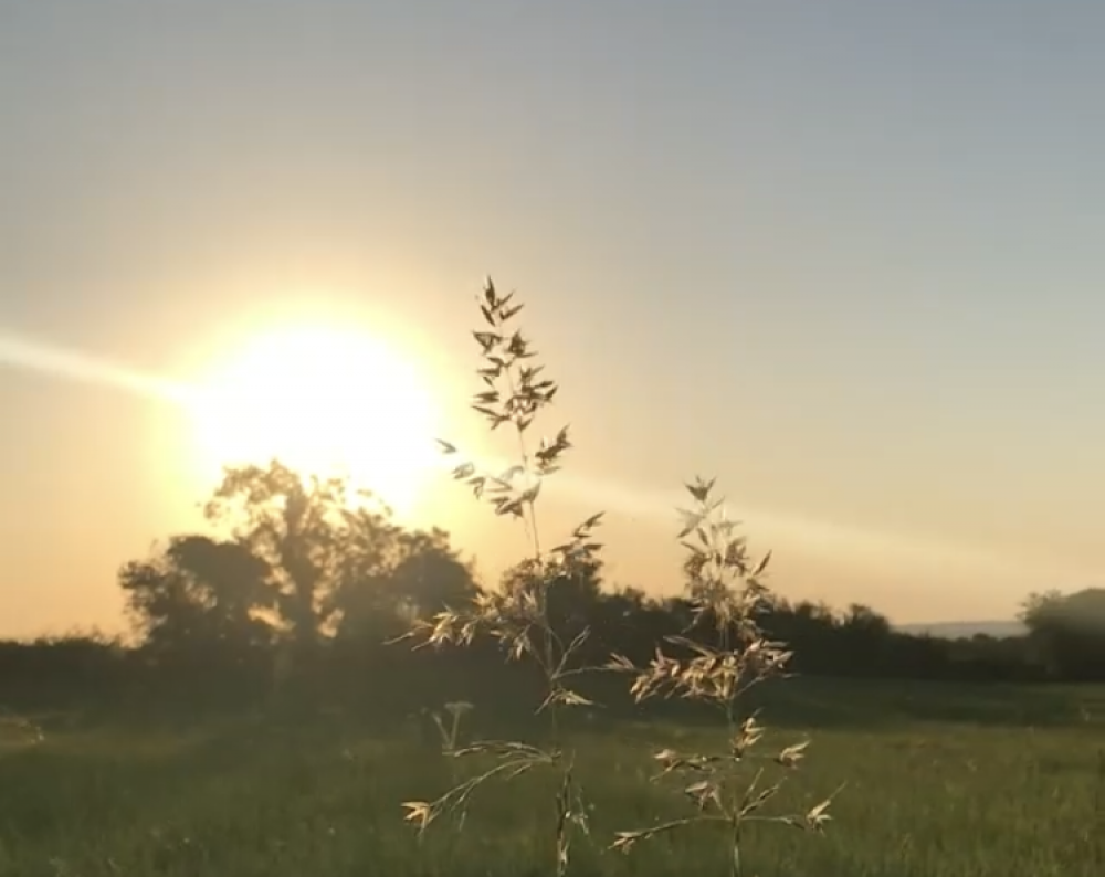 جمال الطبيعة